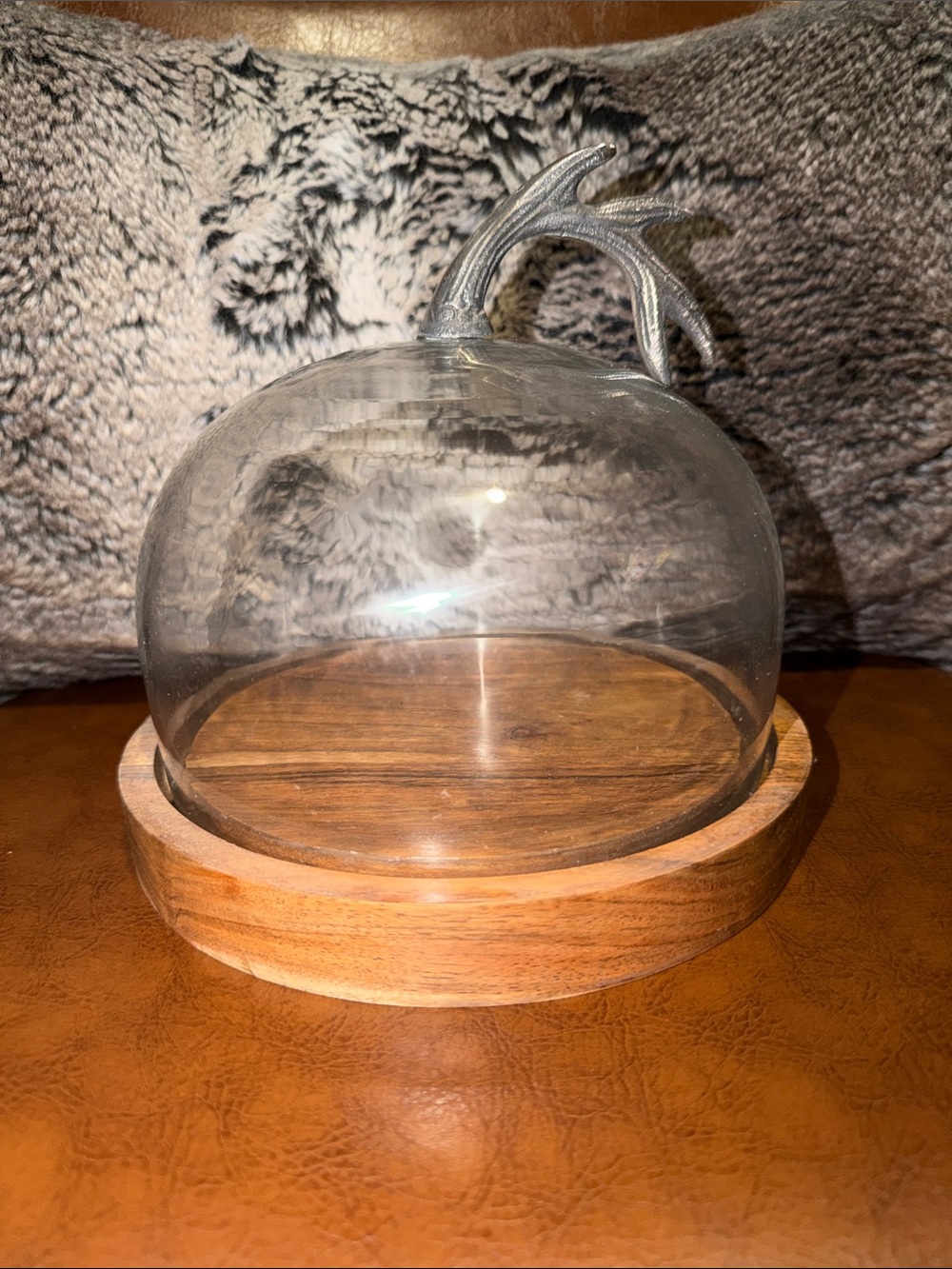 Glass Cheese Tray with Antler Top